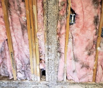 Termite Repair by Code Structural LLC
