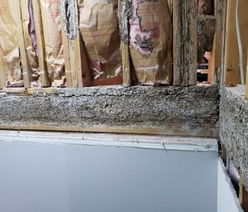 Termite Inspections by Code Structural LLC